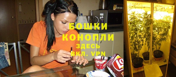 прущие крисы Балахна