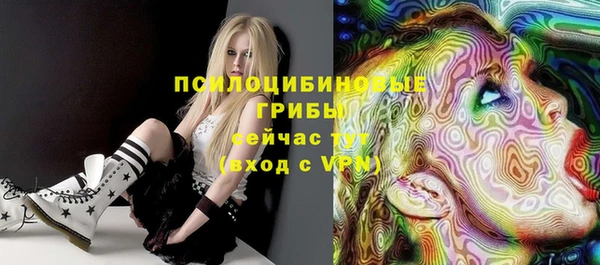 прущие крисы Балахна