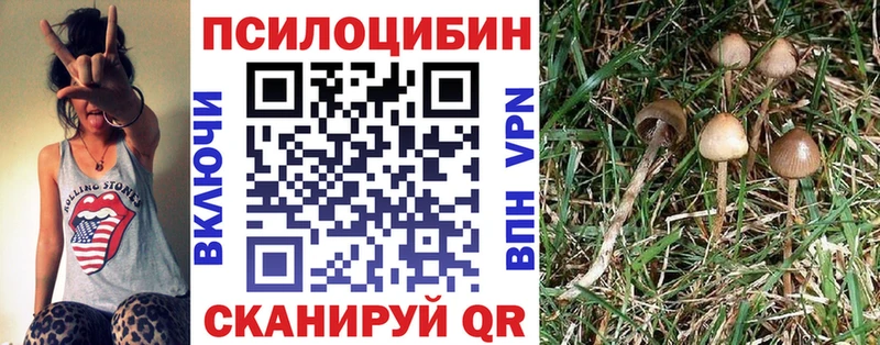 Псилоцибиновые грибы GOLDEN TEACHER  MEGA как зайти  Боровичи 